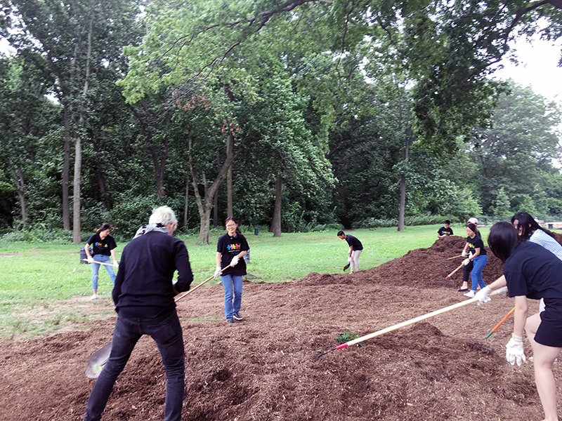 Volunteering at Cunningham Park (Session B)