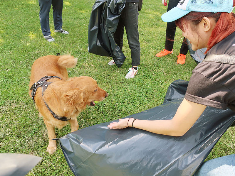 Volunteering at Cunningham Park (Session A)