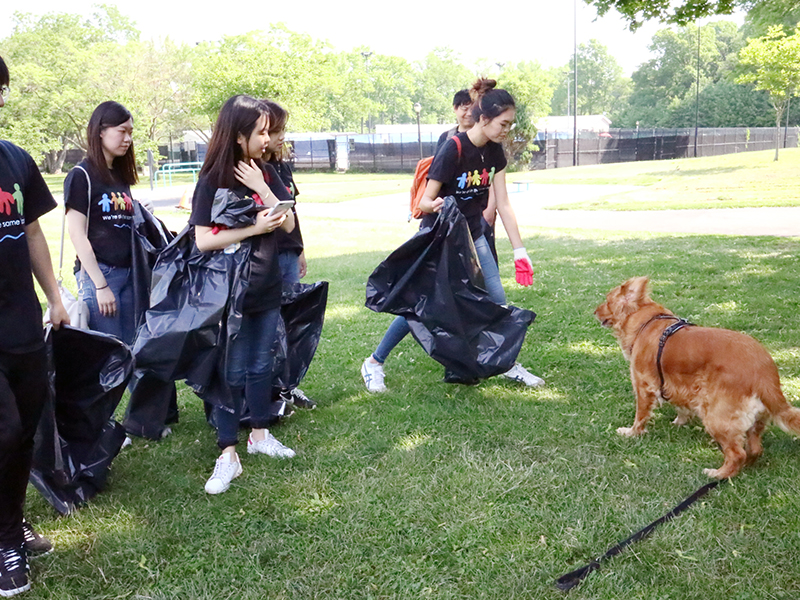 Volunteering at Cunningham Park (Session A)