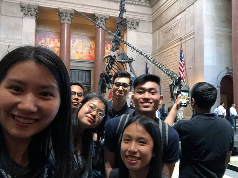 The American Museum of Natural History