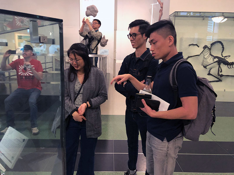 The American Museum of Natural History