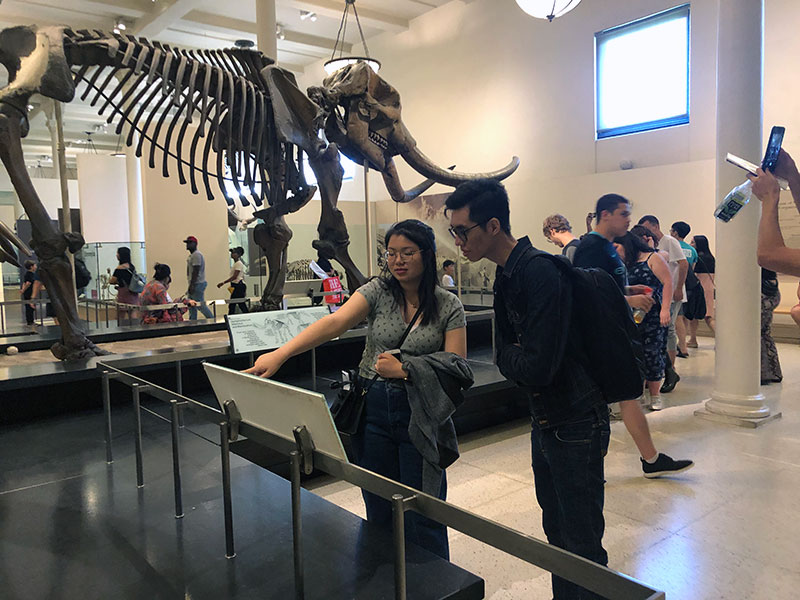 The American Museum of Natural History