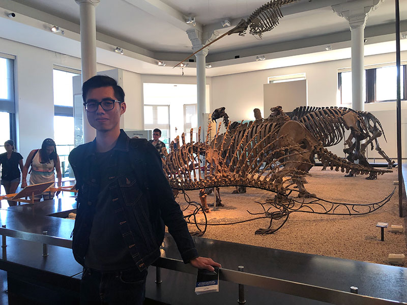 The American Museum of Natural History
