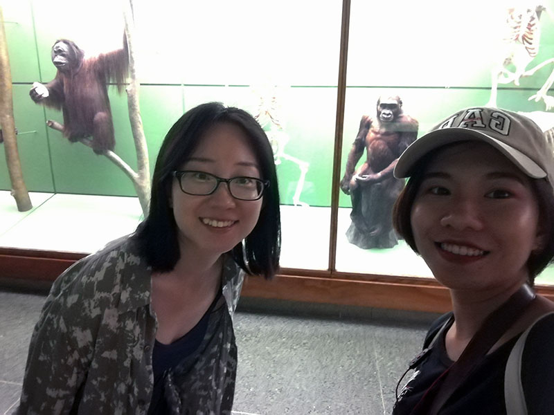 The American Museum of Natural History