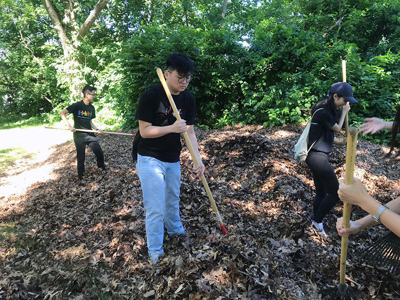Volunteering at Cunningham Park