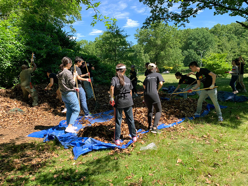 Volunteering at Cunningham Park