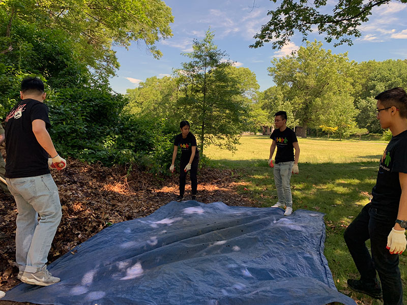 Volunteering at Cunningham Park