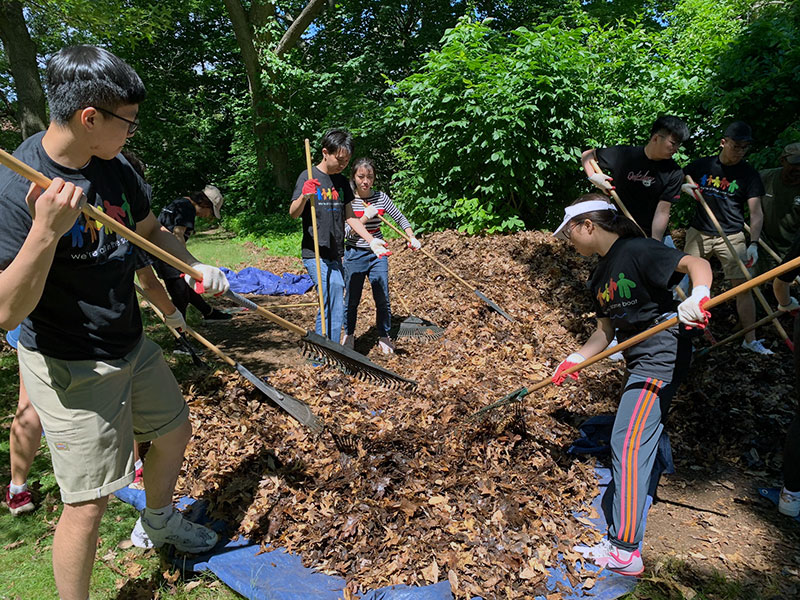 Volunteering at Cunningham Park