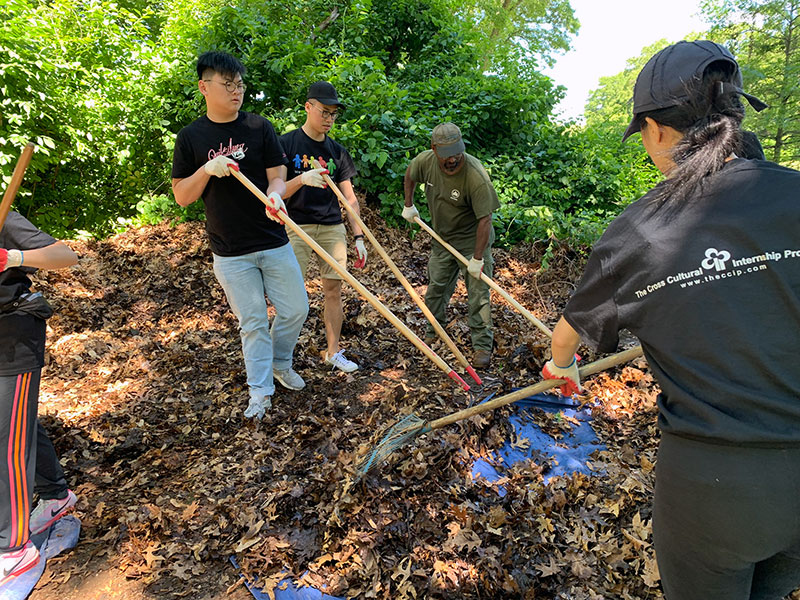 Volunteering at Cunningham Park