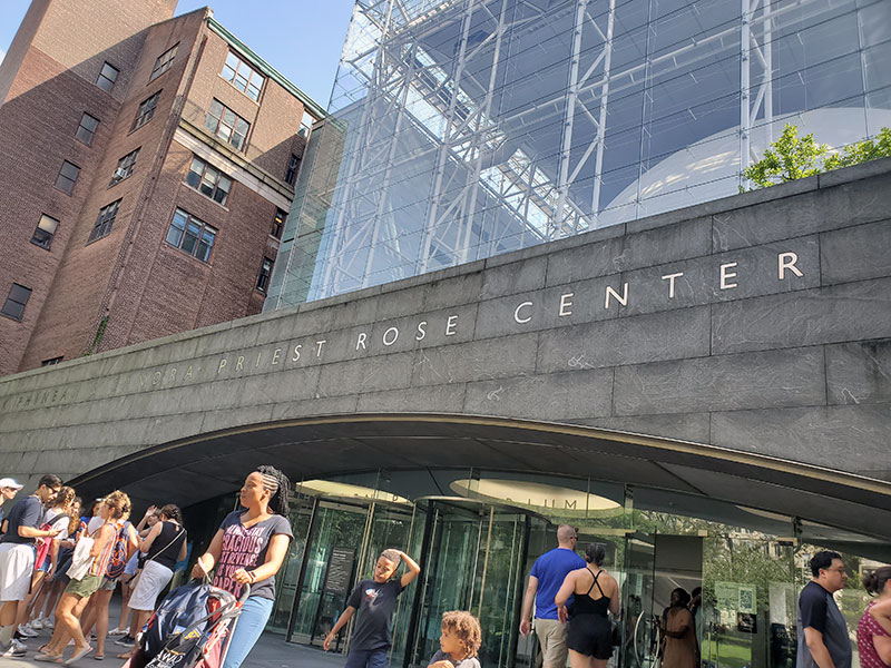 The American Museum of Natural History