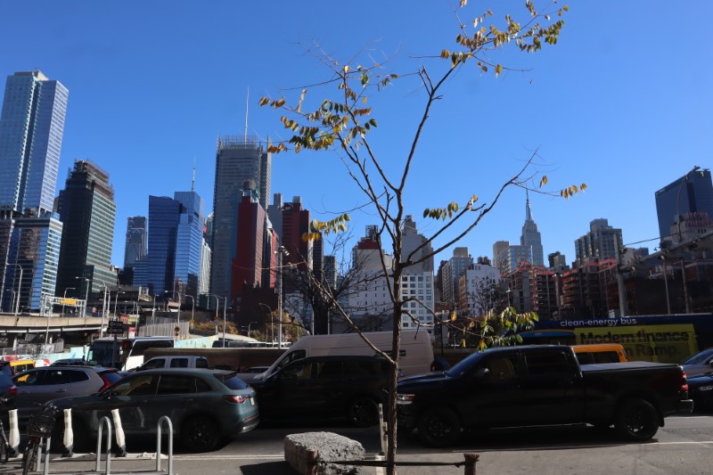 Timothy’s Cultural Adventure in New York City