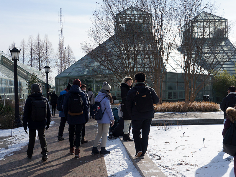 Brooklyn Botanical Garden