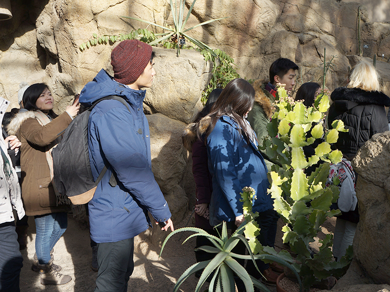 Brooklyn Botanical Garden