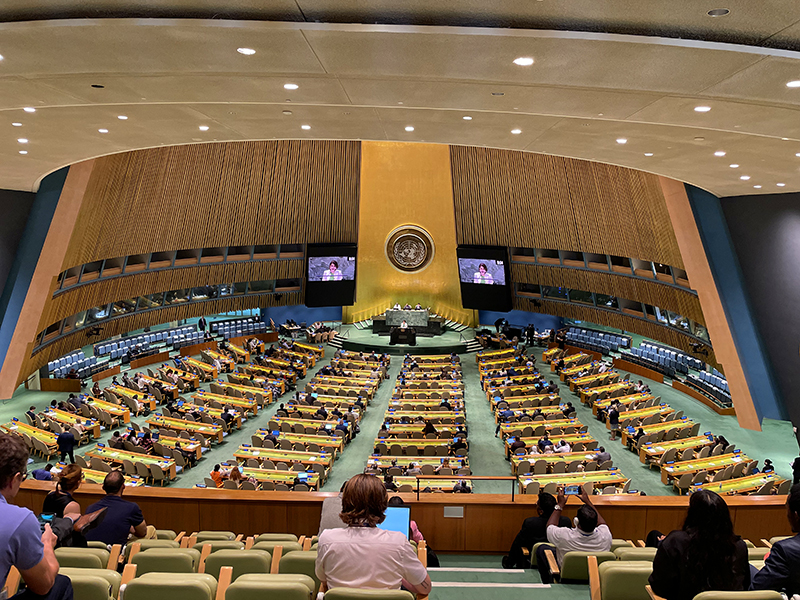 The United Nations Guided Tour